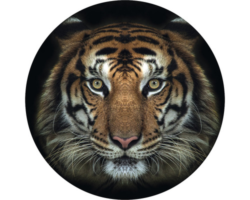 Fototapeta vliesová Tygr 142,5 cm
