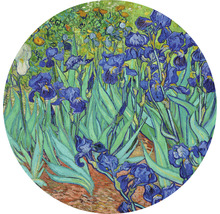 Malba kosatců od Vincenta van Gogha