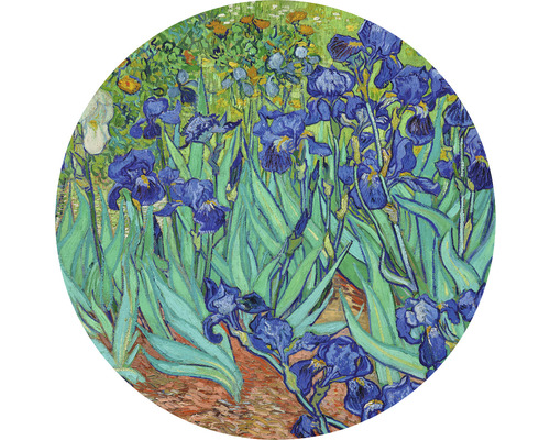 Fototapeta vliesová Van Gogh 142,5 cm
