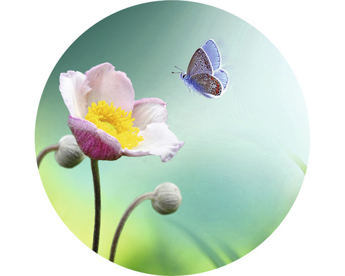 Fototapeta vliesová Květy 142,5 cm