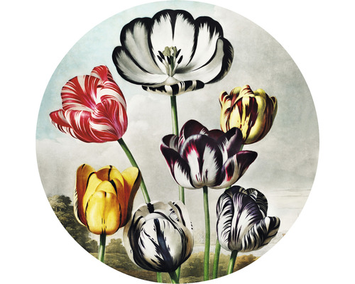 Fototapeta vliesová Tulipány 142,5 cm