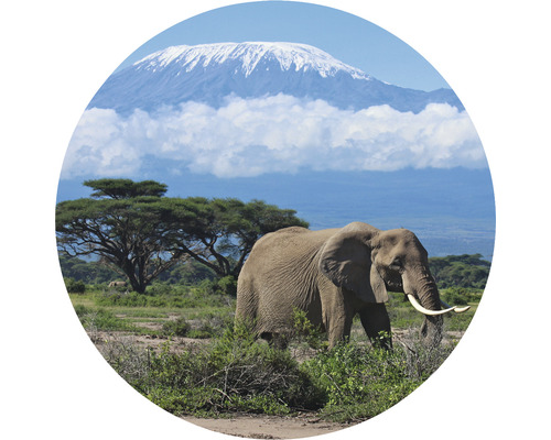 Fototapeta vliesová Kilimandžáro 142,5 cm