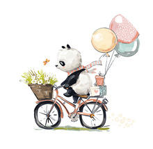 Fototapeta vliesová Panda na kole 142,5