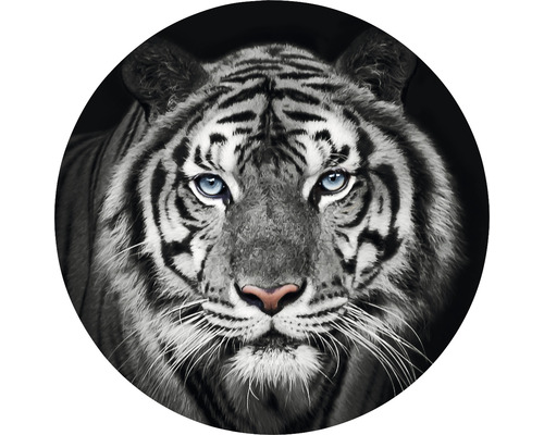 Fototapeta vliesová Tygr čb 190 cm