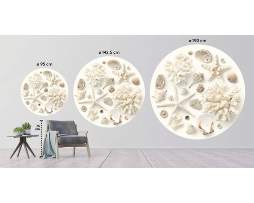 Dekorativní nástěnný obraz s mušlemi a mořskými hvězdicemi ve třech různých velikostech