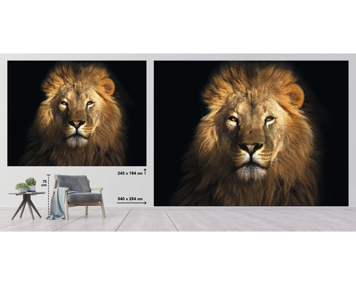 Nástěnná malba s motivem lva, rozměry 243 x 184 centimetrů a 340 x 254 centimetrů