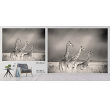 Fototapeta s motivem žirafy ve stepním designu