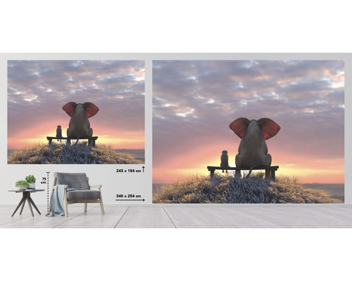 Fototapeta se slonem a psem na lavičce před západem slunce, rozměr 340 x 254 cm