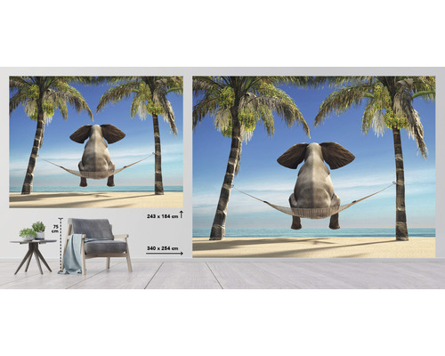 Fototapeta se slonem v houpací síti mezi palmami na pláži, uvedena velikost