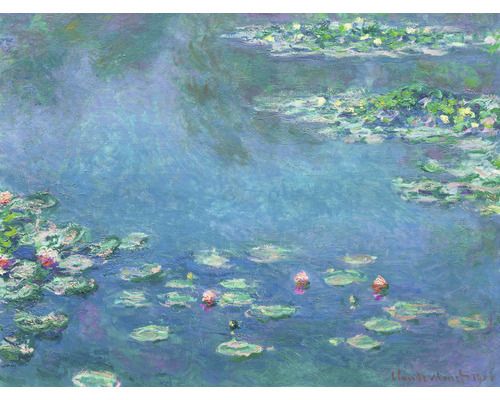 Fototapeta vliesová Monet lekníny Rozměry 243x184 cm