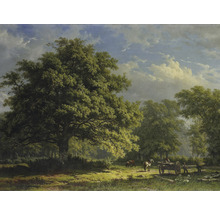 Fototapeta vliesová Bentheim Forest 243x184