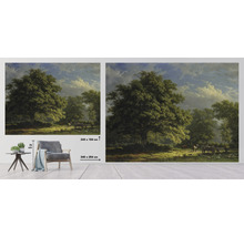 Fototapeta vliesová Bentheim Forest 243x184