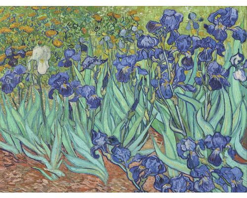 Fototapeta vliesová Van Gogh 243x184 cm