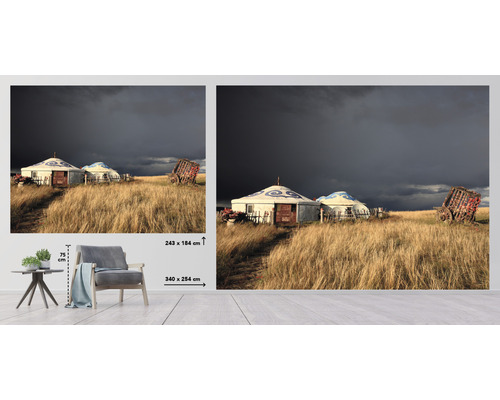 Fototapeta s jurtami a polem, rozměr 340 x 254 centimetrů