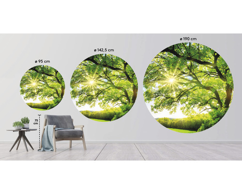 Tři kulaté nástěnné malby s motivy stromů a přírody v různých velikostech