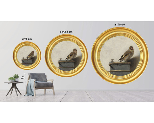 Dekorativní nástěnné obrazy s ptačími motivy a zlatými rámy v různých velikostech