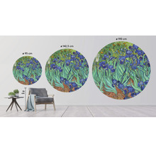 Tři kulaté nástěnné malby s motivem Irisgarten o průměrech 95 cm, 142,5 cm a 190 cm