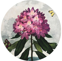 Ilustrace květu rododendronu s včelou a motýlem