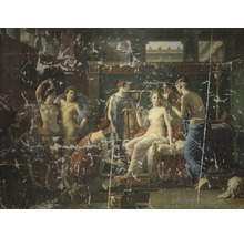 Fototapeta vliesová Paelinck Psyche 340x254