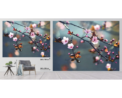 Foto tapeta s motivem třešňových květů v místnosti, rozměr 340 x 254 centimetrů
