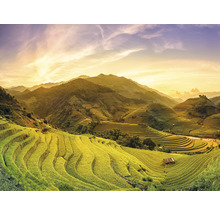 Fototapeta vliesová Vietnam 243x184 cm