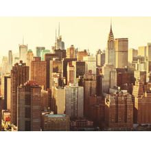 Panorama New Yorku s různými mrakodrapy