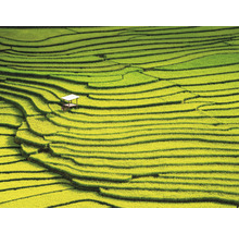 Fototapeta vliesová Thajsko 340x254 cm