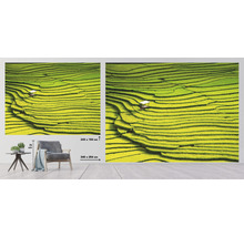 Fototapeta vliesová Thajsko 340x254 cm