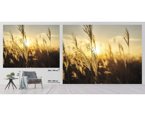 Fototapeta s trávami v protisvětle, rozměry 243 x 184 centimetrů a 340 x 254 centimetrů