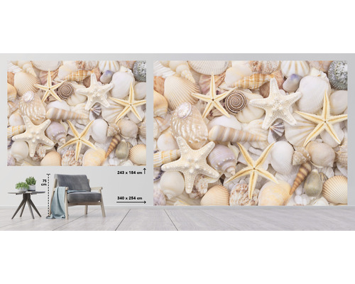 Fototapeta s mušlemi a hvězdicemi v obývacím pokoji