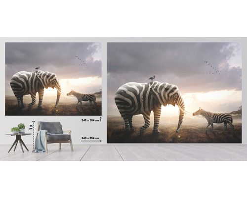 Foto tapeta se zebří slon a zebra