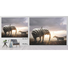 Fototapeta vliesová Slon a zebra 340x254 cm