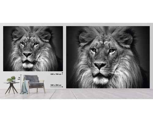 Fototapeta s motivem lví hlavy v černobílém provedení, 340 x 254 cm