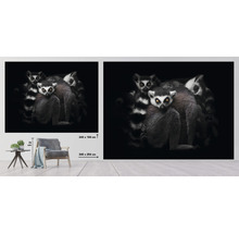 Fototapeta vliesová Lemuři 340x254 cm