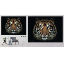 Fototapeta vliesová Tygr 340x254 cm