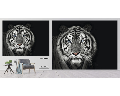 Nástěnná malba s motivem tygra, rozměr 340 x 254 centimetrů
