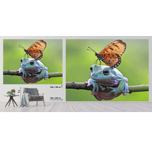 Fototapeta vliesová Žába 340x254 cm