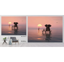 Fototapeta vliesová Slon a pes 340x254 cm