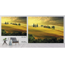Nástěnná malba s motivem krajiny, Toskánsko, Itálie, rozměry 340 x 254 centimetrů a 243 x 184 centimetrů