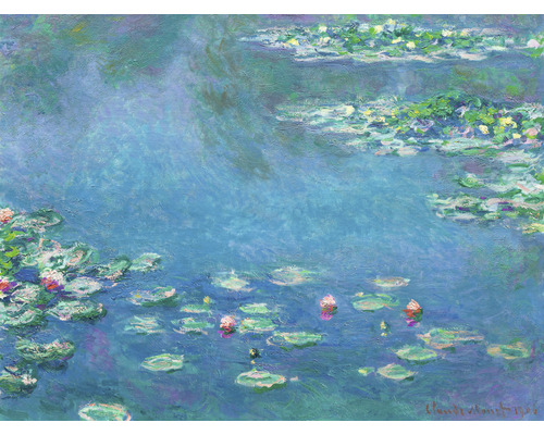 Fototapeta vliesová Monet lekníny Rozměr 340x254 cm