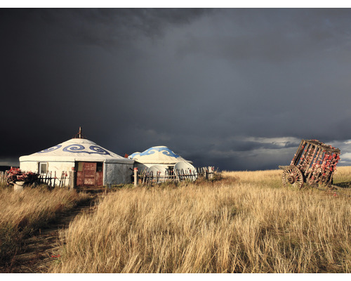 Fototapeta vliesová Mongolsko 340x254 cm