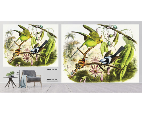Nástěnná malba s motivem ptáků a rostlin, vhodná pro nástěnné dekorace