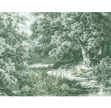 Fototapeta vliesová Jelen v lese 340x254