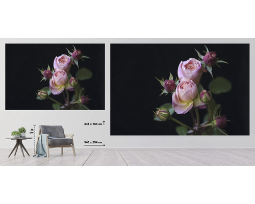 Nástěnná malba s motivem růží v obývacím pokoji, 243 krát 184 centimetrů a 340 krát 254 centimetrů