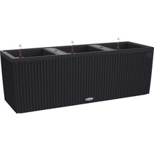 Černý květináč s zavlažovacím systémem