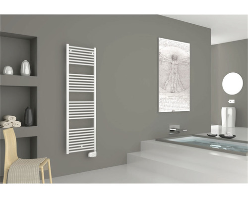 Koupelna s radiátorem na ručníky, vanou a dekoracemi