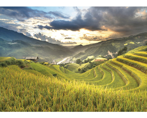 Krajina s rýžovými terasami a horami v pozadí