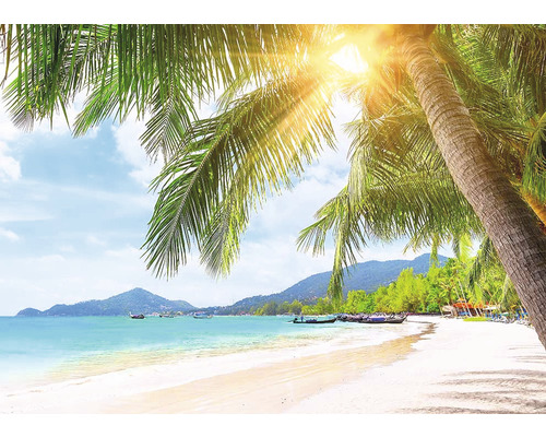 Tropická pláž s palmami a slunečním svitem