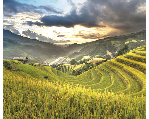 Krajina s rýžovými terasami, kopci a domem