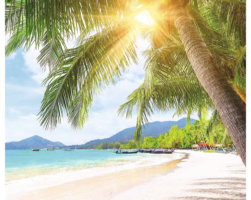 Fototapeta s motivem pláže, palem a moře
